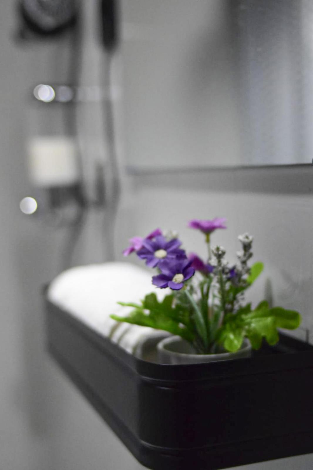 קסטלו דה פייבה Flower Residence מראה חיצוני תמונה